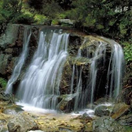 La Candela Cercedilla Kültér fotó